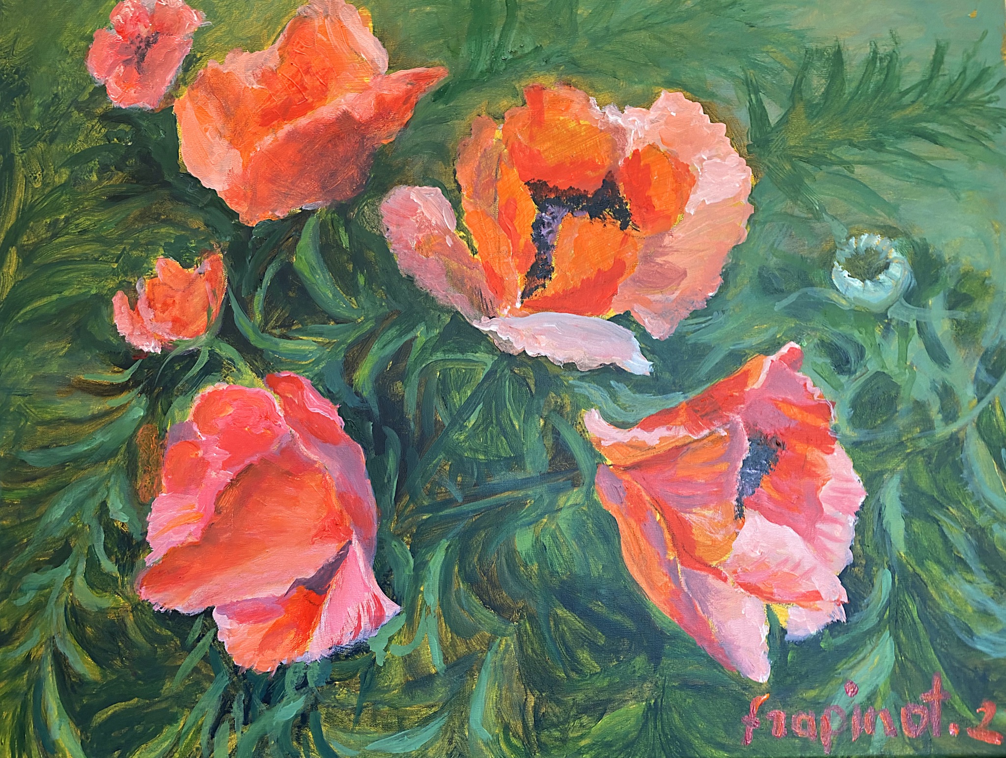 Poppies1